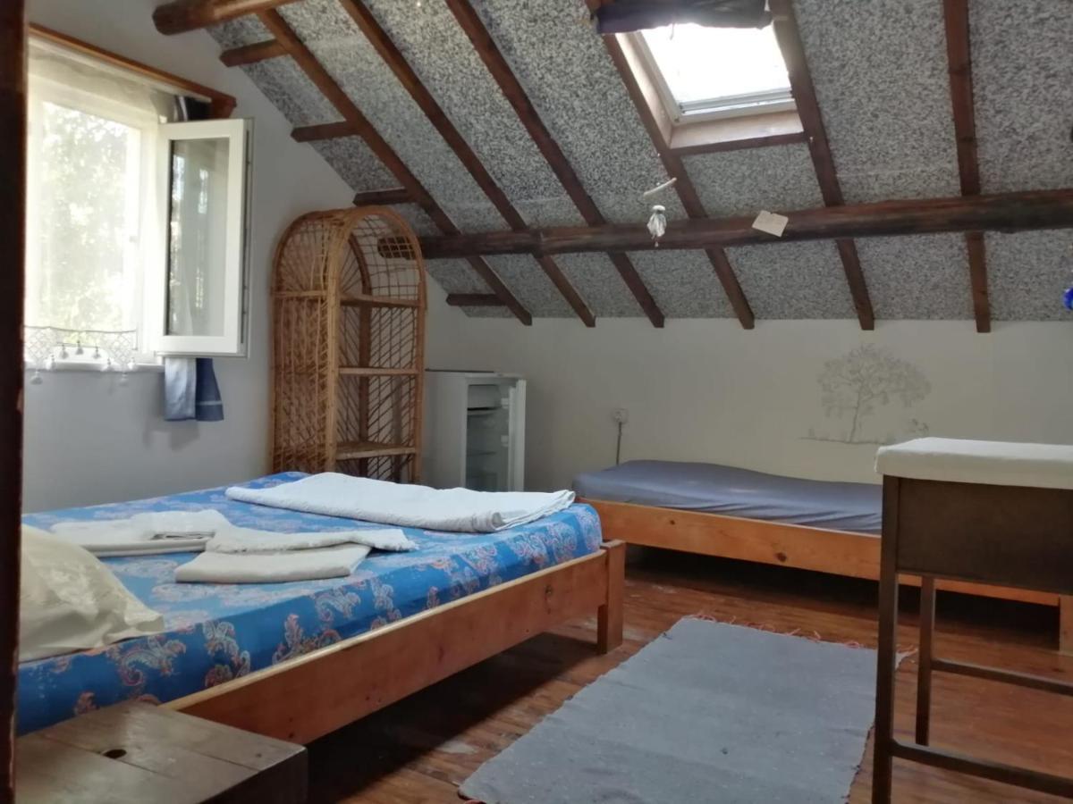 Ecer Pansiyon Kusadası Kültér fotó